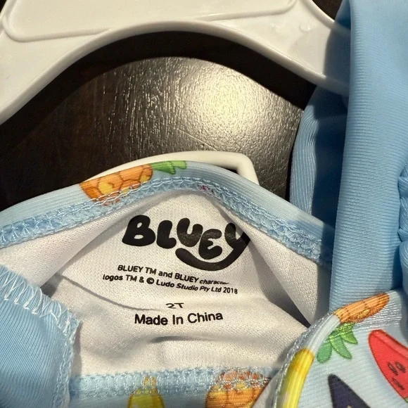 Bluey Kids Swim Set - Blue Size 2T - Picture 9 of 9
